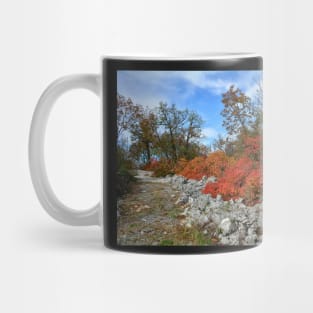 Autumn Carso Near Aurisina Mug